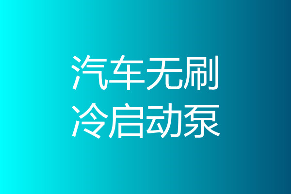 汽車無刷冷啟動泵